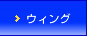 �E�B���O